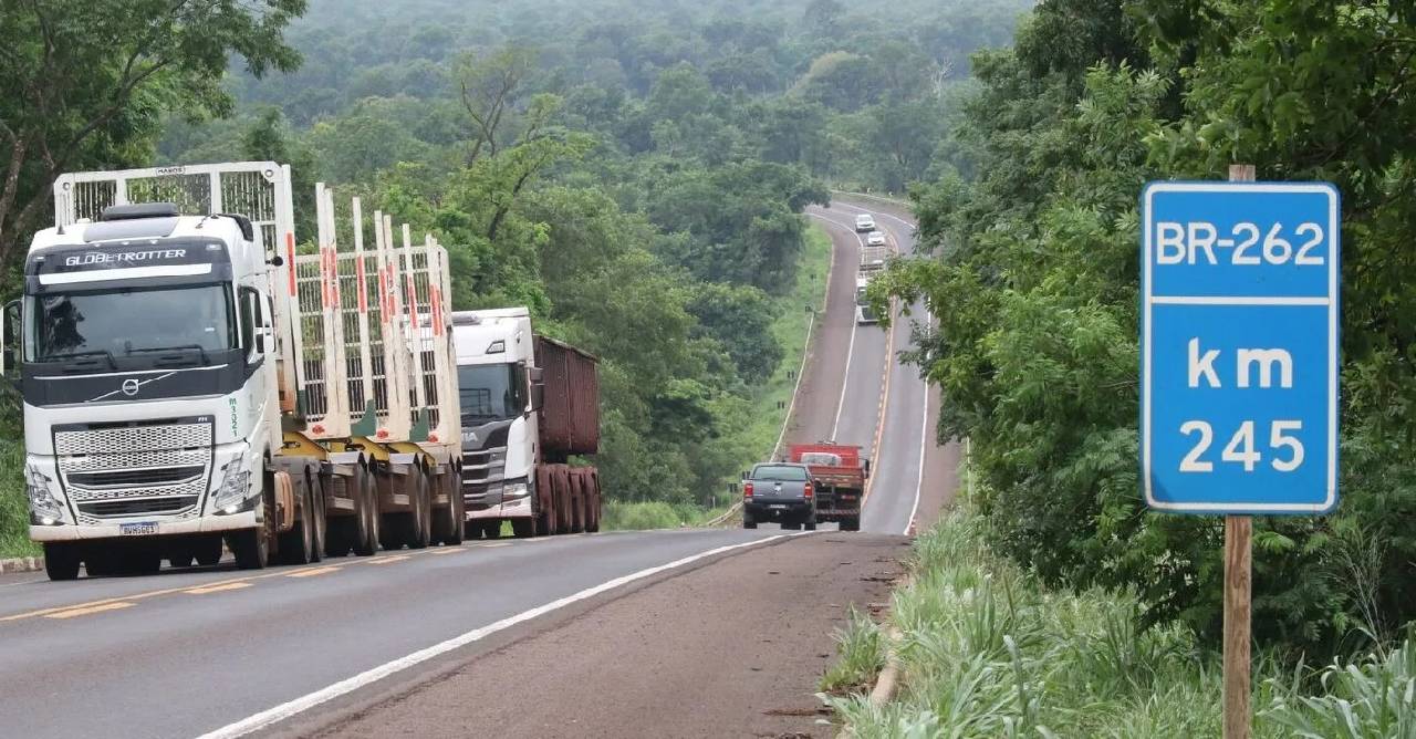 Leilão da Rota da Celulose será retomado no primeiro semestre de 2025