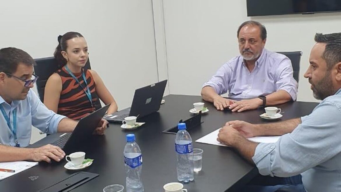 Prefeito de Alcinópolis solicita melhorias na rede elétrica em reunião com Energisa