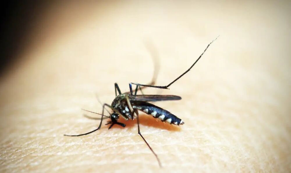 Com 7 mortes confirmadas, dengue segue fazendo vítimas em Mato Grosso do Sul