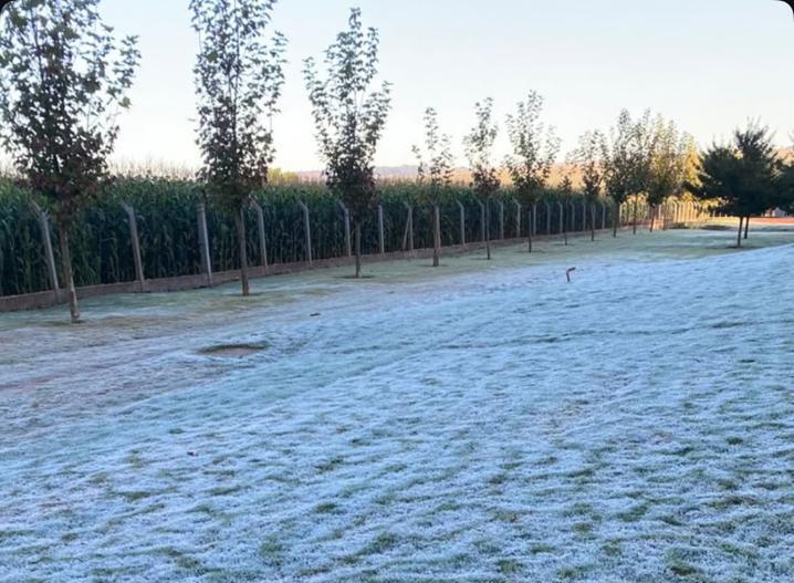 Temperatura chegou a zero grau em Mato Grosso do Sul e houve registro de geada em várias localidades