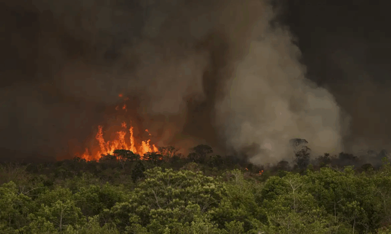 Queimadas fazem desmatamento crescer 92% na Amazônia