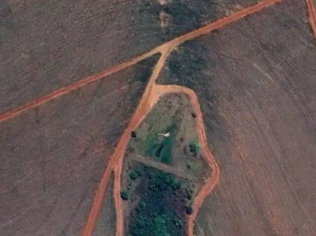 Expansão acelerada do eucalipto mata nascentes e ameaça área sensível do Bolsão