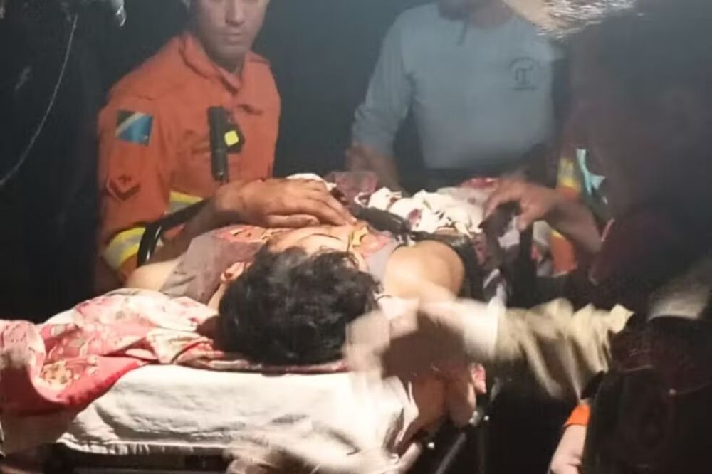 Ataque de onça deixa homem ferido em fazenda no Pantanal