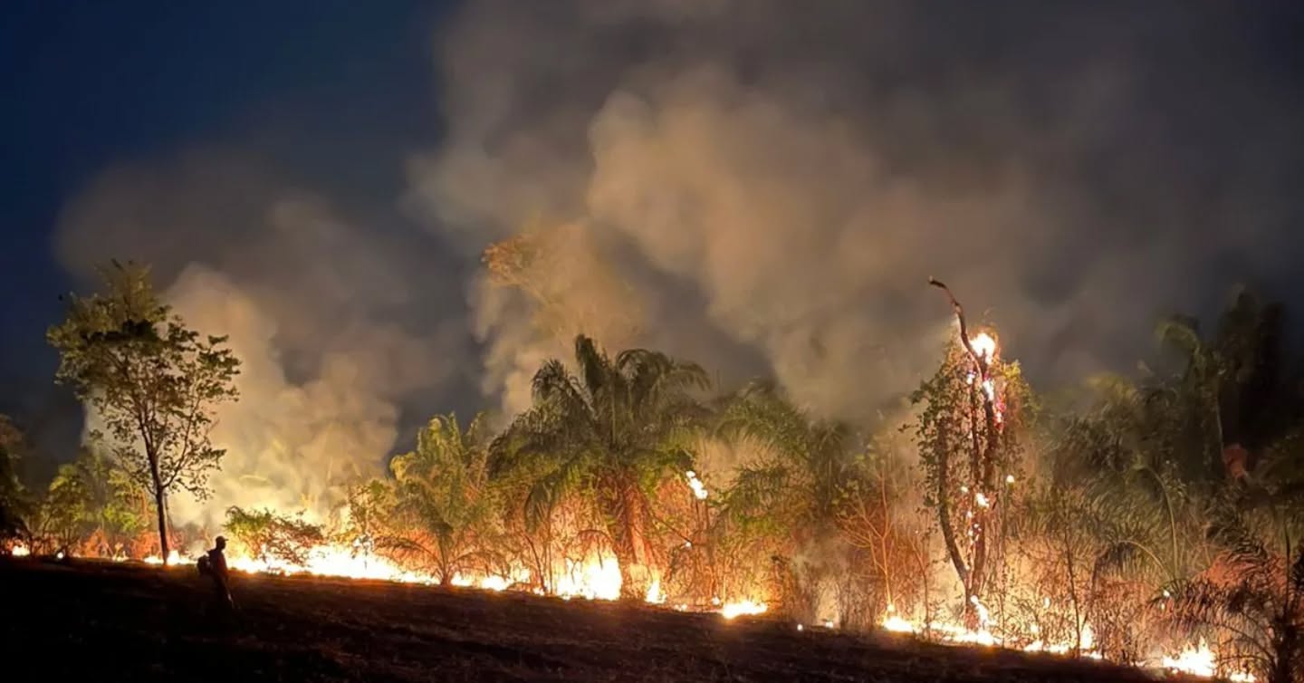 Prefeito Weliton Guimarães solicita reforços para controlar fogo que já consumiu 9 mil hectares