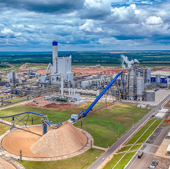 Celulose brasileira, com destaque para Mato Grosso do Sul, amplia espaço no mercado dos Estados Unidos