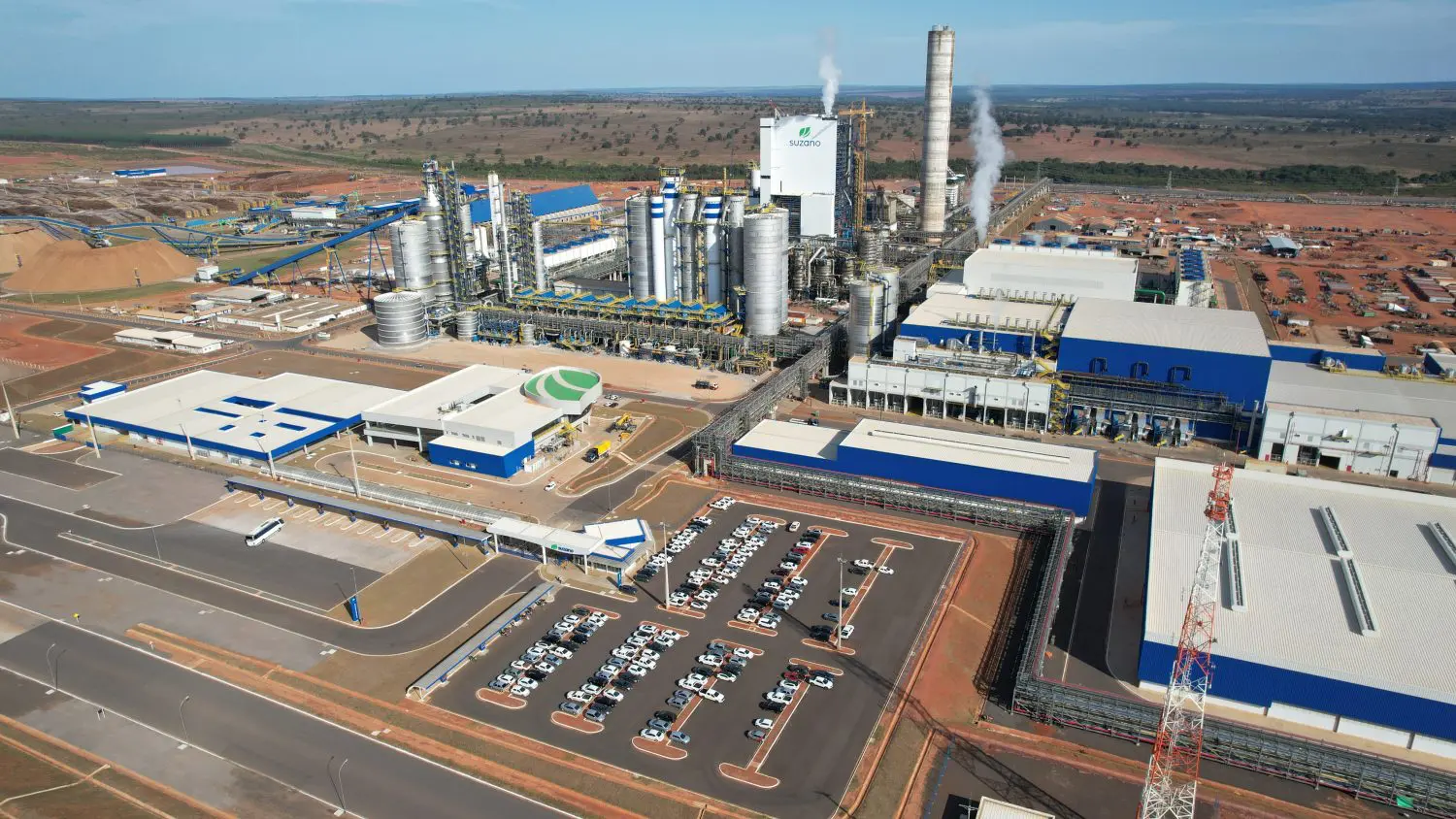 Marco Histórico: BNDES aprova R$ 250 milhões para Suzano restaurar 24 mil hectares em MS e mais 5 Estados