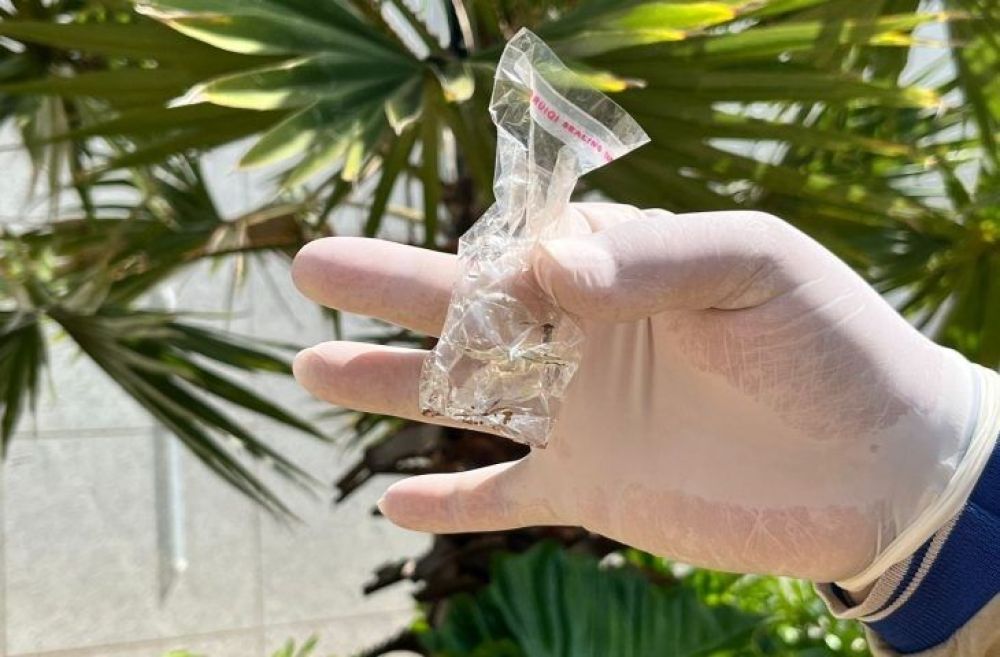 MS explode em casos de dengue e já soma 18 mortes em 2025