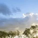 Último sábado do ano será de calor de 38°C e chance de tempestade em MS