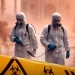 O que é o Vírus Nipah (NiV)?