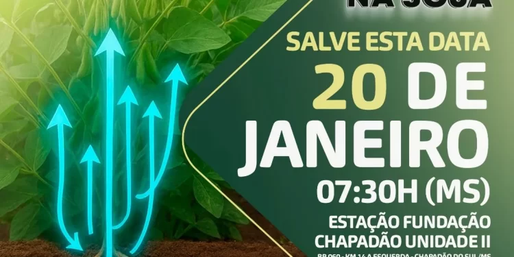 Tecnologia na Lavoura: Fundação Chapadão debate Bioestimulantes e Nutrição da Soja nesta manhã