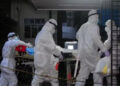 Aeroportos da Ásia retomam máscaras e monitoramento contra o vírus Nipah