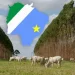 A transformação silenciosa: Por que a economia de MS cresce em ‘ritmo chinês’ e supera a média nacional?