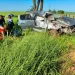 Susto na BR-060: Irmãos advogados, filhos de produtores de Bela Alvorada, ficam feridos em capotamento