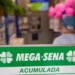 Mega-Sena acumula e sorteia R$ 50 milhões nesta segunda (19); apostas de MS faturam alto na Quina