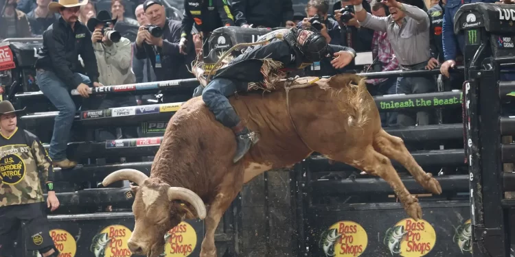 Brasil no topo do mundo: Julio Cesar Marques assume liderança do ranking da PBR após etapa histórica em Nova York