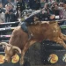 Brasil no topo do mundo: Julio Cesar Marques assume liderança do ranking da PBR após etapa histórica em Nova York