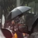 Mesmo com chuva e frente fria chegando, termômetros podem registrar 38°C em MS neste sábado