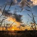 MS registra calor de até 37°C e alerta de baixa umidade neste sábado