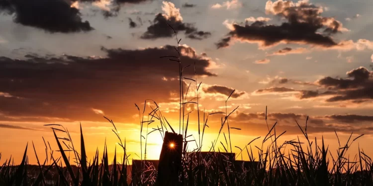 Mato Grosso do Sul registra altas temperaturas e baixa umidade nesta sexta-feira