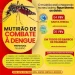 Guerra ao Mosquito: Figueirão inicia “faxina geral” contra a Dengue nesta semana; veja o cronograma