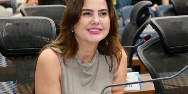 Mara Caseiro inicia ano legislativo com foco em municípios e combate à violência contra a mulher