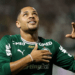 Noite de Brasileirão e Libertadores: Palmeiras e Fluminense duelam pela liderança