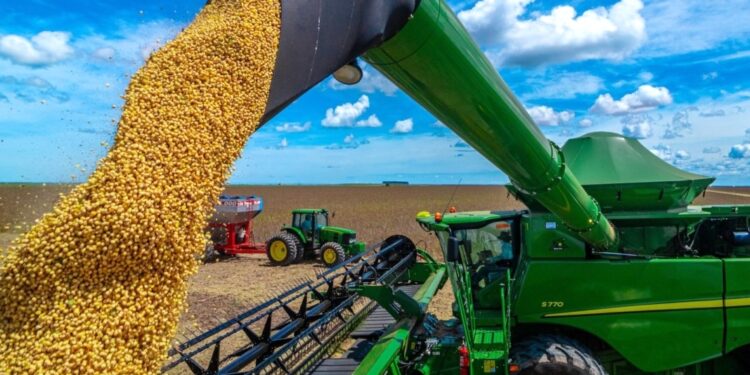 Gigante do Agro: MS é o 5º maior produtor de grãos do Brasil em safra recorde de soja