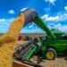 Gigante do Agro: MS é o 5º maior produtor de grãos do Brasil em safra recorde de soja