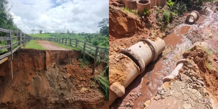 Costa Rica sob Alerta: Chuva de 150 mm destrói pontes na zona rural