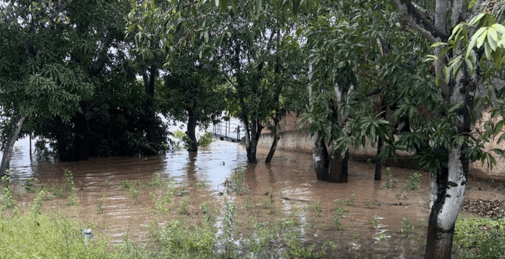 Defesa Civil de Mato Grosso do Sul se mobiliza após municípios serem afetados por chuvas intensas