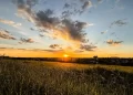 Alerta de Calor: Mato Grosso do Sul terá “Bolha de Ar Quente” com máximas de 40°C