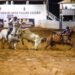 Costa Rica faz história: Município recebe a 1ª Vaquejada de Mato Grosso do Sul