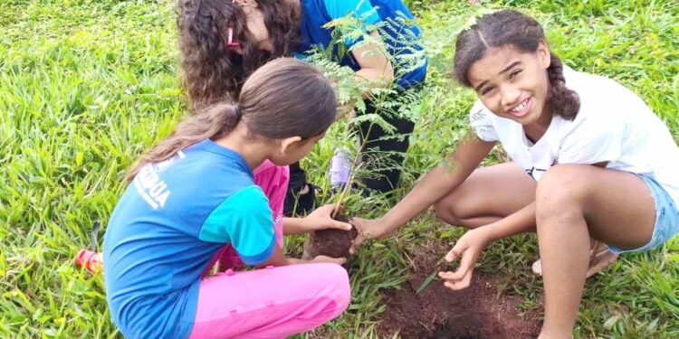Projeto Revita Garimpinho: Camapuã une educação e reflorestamento com as novas gerações