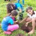 Projeto Revita Garimpinho: Camapuã une educação e reflorestamento com as novas gerações