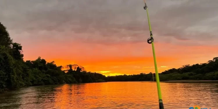 Com fim da Piracema, veja as regras para voltar a pescar nos rios de MS