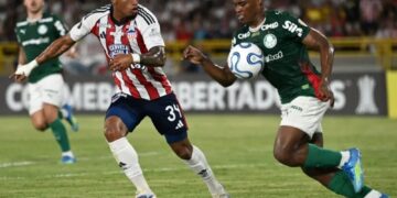 Libertadores: Palmeiras busca empate na Colômbia em estreia no Grupo F