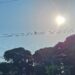 Bota a roupa no varal que domingo será de sol e calor para Mato Grosso do Sul