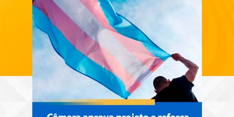 Inclusão e Cidadania: Câmara aprova projeto que garante o uso do Nome Social na administração pública