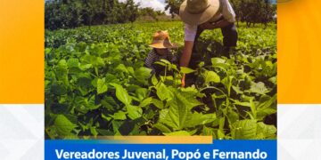Saúde e Campo: Vereadores articulam R$ 1 milhão para cirurgias e novo caminhão para a agricultura