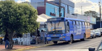 Saúde Animal e Controle Populacional: Caravana da Castração atende 371 fêmeas em ação histórica no município