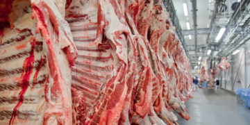 Geopolítica da Carne: China reabilita frigoríficos dos EUA, mas competitividade brasileira segue imbatível no curto prazo