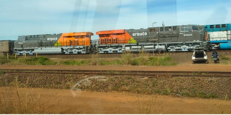 Gigantes nos Trilhos: Locomotivas da Arauco são avistadas no Terminal da Ferronorte