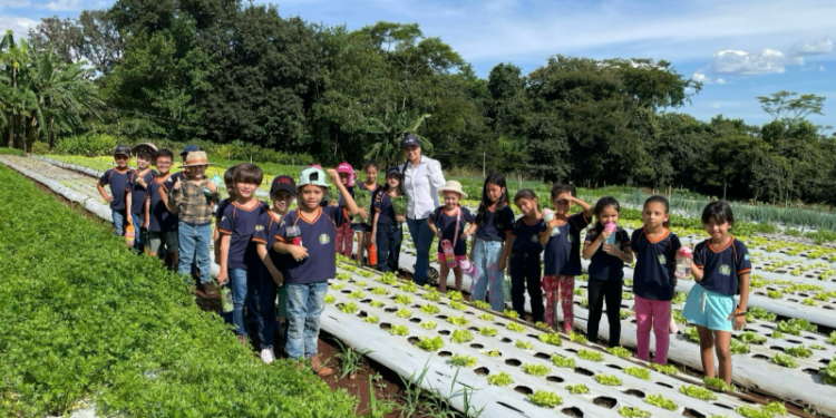 Educação e Campo: Projeto “A Terra que nos Alimenta” leva mais de 800 alunos ao Cinturão Verde