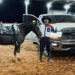 Vitória de Luxo: Laçador de Figueirão vence final da LCA em Goiás e fatura Dodge RAM de R$ 400 mil
