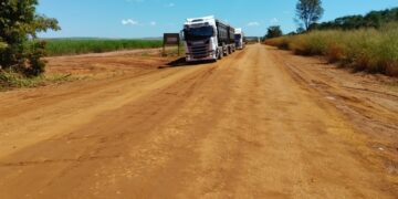 Logística e Progresso: Governo de MS autoriza projetos para pavimentação das rodovias MS-135 e MS-425
