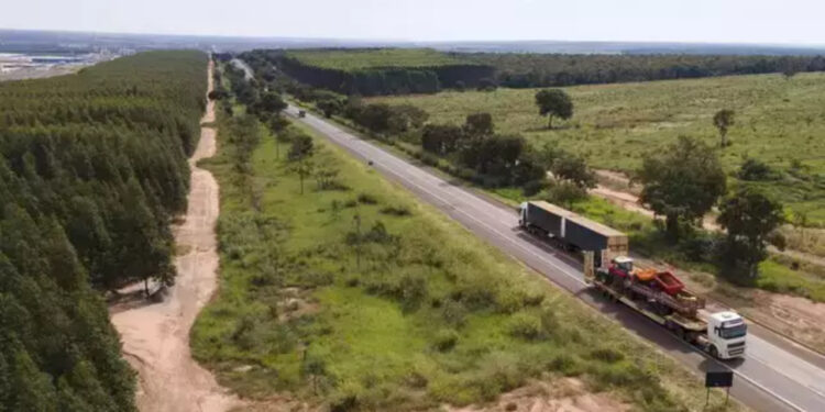 Rota da Celulose avança em Mato Grosso do Sul após conclusão de etapa emergencial
