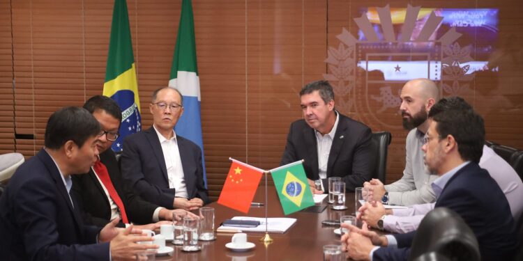 Ambiente favorável de negócios impulsiona novos investimentos internacionais no Vale da Celulose