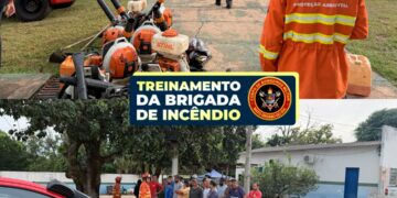 Capacitação para Brigadistas de Alcinópolis: Preparação e Prevenção em Época de Incêndios