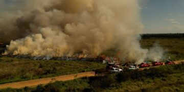 Para conservar e proteger biomas, Governo de MS realiza técnica de queima prescrita em parque estadual