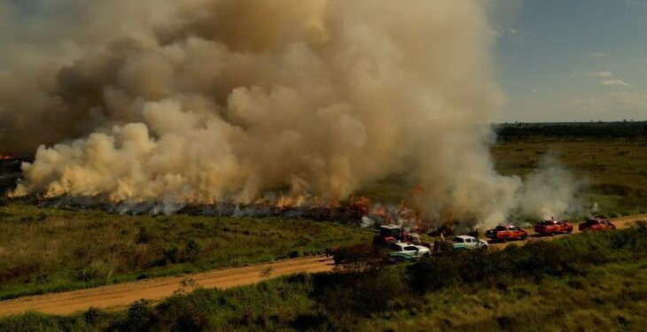 Para conservar e proteger biomas, Governo de MS realiza técnica de queima prescrita em parque estadual
